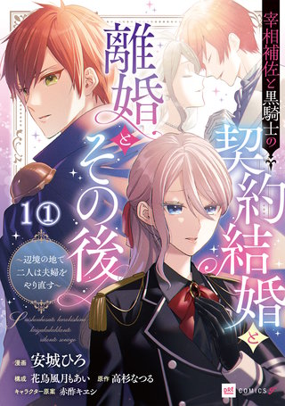 【単話版】宰相補佐と黒騎士の契約結婚と離婚とその後 ～辺境の地で二人は夫婦をやり直す～