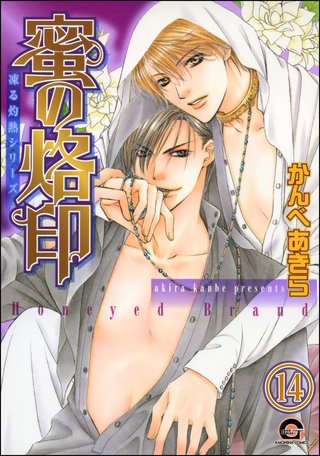 凍る灼熱（分冊版）【第14話】