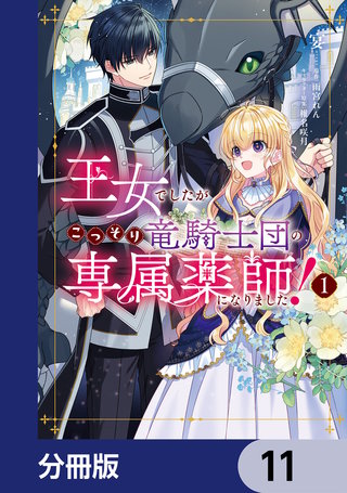 王女でしたがこっそり竜騎士団の専属薬師になりました！【分冊版】　11