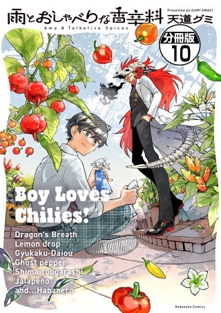 雨とおしゃべりな香辛料 分冊版(10)