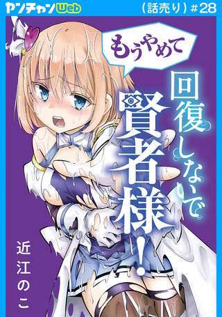 もうやめて回復しないで賢者様！(話売り)(28)