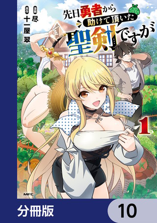 先日勇者から助けて頂いた聖剣ですが【分冊版】　10
