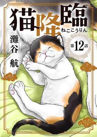 猫降臨【単話】(12)