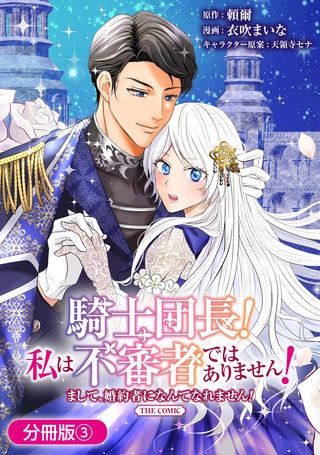 騎士団長！ 私は不審者ではありません！ まして、婚約者になんてなれません！ THE COMIC【分冊版】(3)