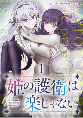 姫の護衛は楽じゃない