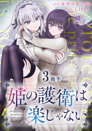 姫の護衛は楽じゃない 【連載版】３後半