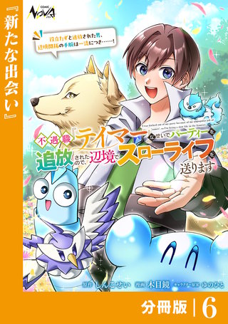 不遇職『テイマー』なせいでパーティーを追放されたので、辺境でスローライフを送ります【分冊版】６