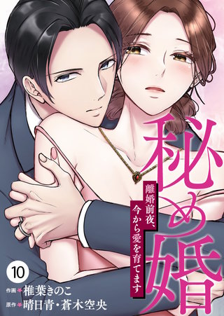 秘め婚　離婚前夜、今から愛を育てます 第10話