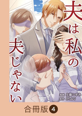 夫は私の夫じゃない【合冊版】（4）