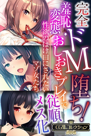 完全ドM堕ち！羞恥・変態おしおきプレイで従順メス化 ～性欲のはけ口にされたいマゾ女たち～【CG集コレクションBIG】