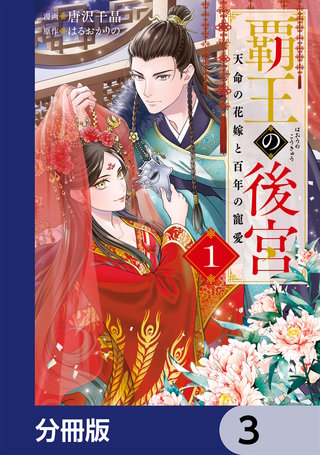 覇王の後宮【分冊版】　3