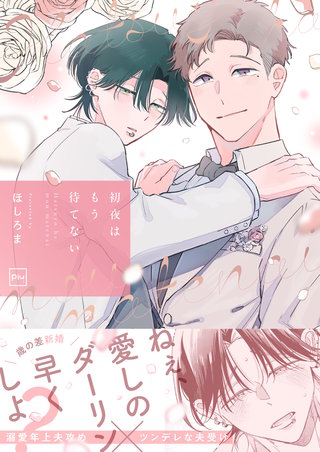初夜はもう待てない【電子単行本】