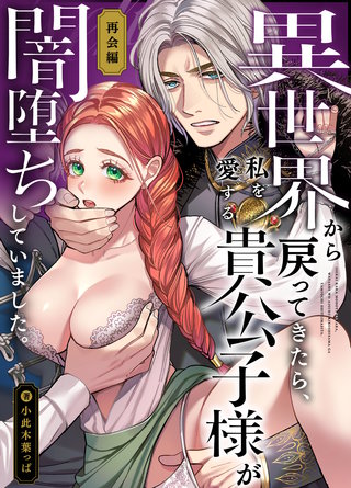 異世界から戻ってきたら、私を愛する貴公子様が闇堕ちしていました。～完結:再会編～