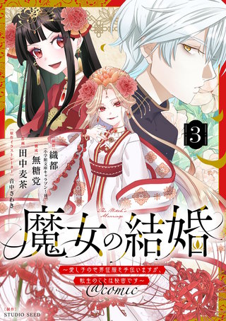 魔女の結婚～愛し子の世界征服を手伝いますが、転生のことは秘密です～@comic【単話】(3)