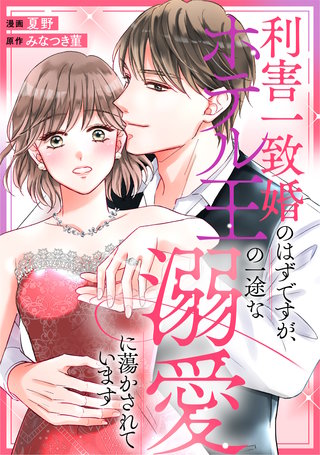 利害一致婚のはずですが、ホテル王の一途な溺愛に蕩かされています（分冊版）(2)