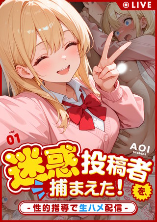 迷惑投稿者を、捕まえた！