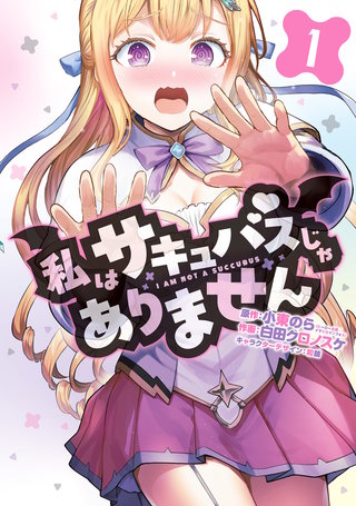 私はサキュバスじゃありません