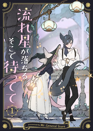 流れ星が落ちるそこで待ってて(1)