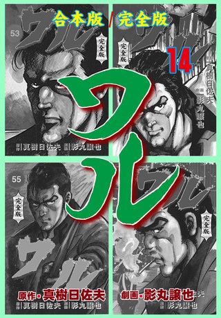 ワル【完全版】合本版(14)
