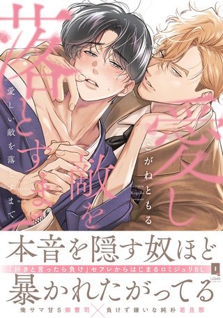 愛しい敵を落とすまで【単行本版】