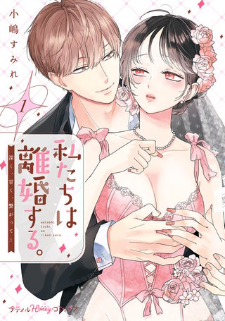 私たちは離婚する。深く、甘く、繋がって…【単行本版 電子限定おまけ漫画付き】