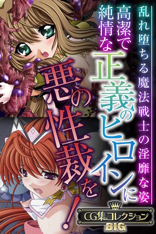 高潔で純情な正義のヒロインに悪の性裁を！ ～乱れ堕ちる魔法戦士の淫靡な姿～【CG集コレクションBIG】