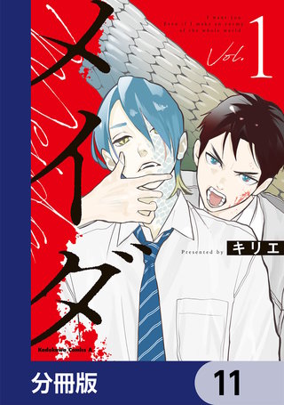 メイダ【分冊版】　11