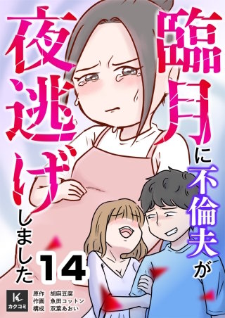 臨月に不倫夫が夜逃げしました(14)