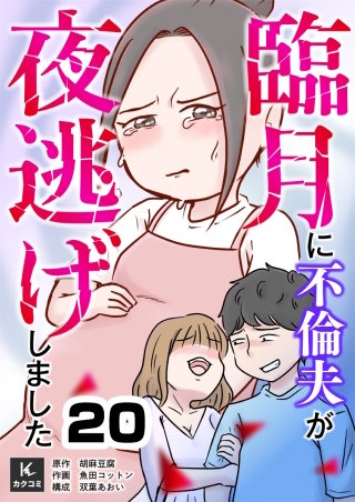 臨月に不倫夫が夜逃げしました(20)