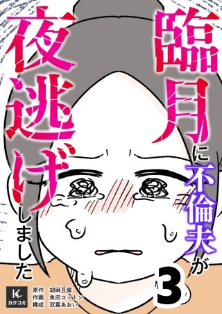 臨月に不倫夫が夜逃げしました【合冊版】(3)