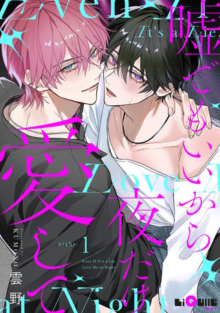 嘘でもいいから夜だけ愛して