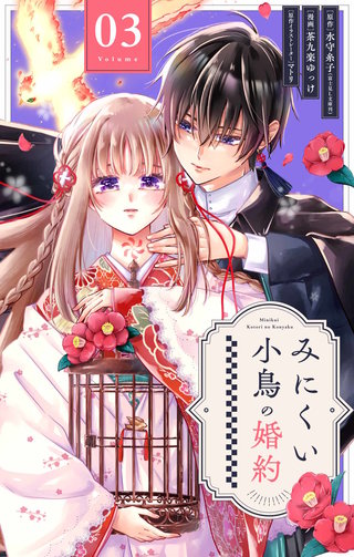 みにくい小鳥の婚約【単話】(3)