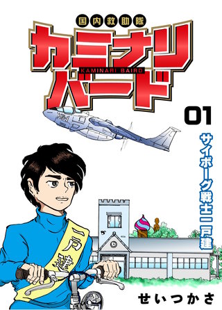 国内救助隊カミナリバード