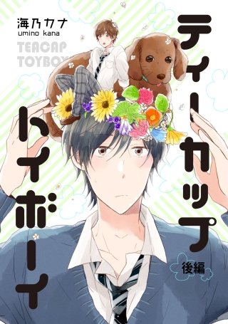 ティーカップトイボーイ【単話売】(2)