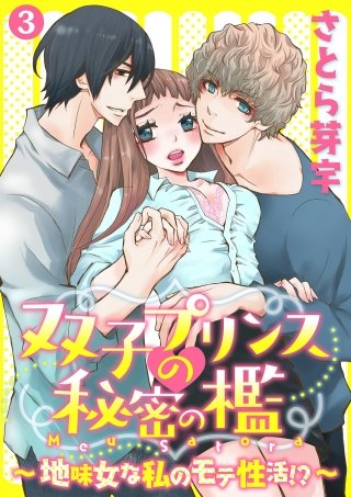双子プリンスの秘密の檻～地味女な私のモテ性活!？～(3)