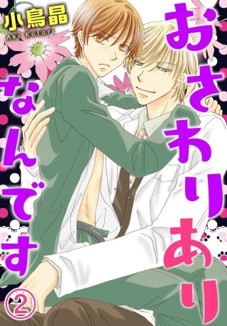 おさわりありなんです(2)