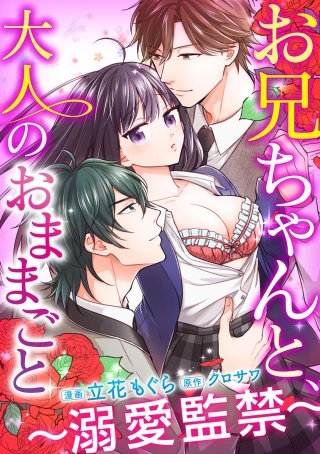 お兄ちゃんと、大人のおままごと～溺愛監禁～（分冊版）(17)