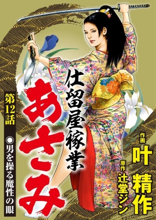 仕留屋稼業あさみ（分冊版）(12)