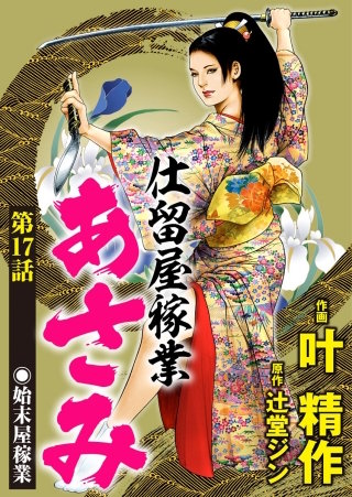 仕留屋稼業あさみ（分冊版）(17)