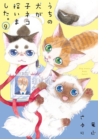 うちの犬が子ネコ拾いました。(9)