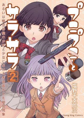 プニプニとサラサラ ―あるいは模型部屋の少年と少女における表面張力と毛細管現象―(2)