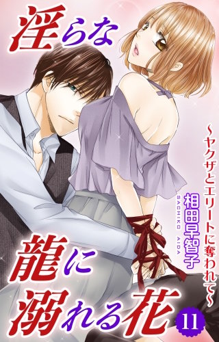 淫らな龍に溺れる花～ヤクザとエリートに奪われて～(11)