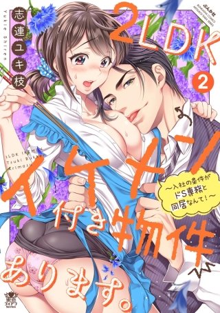 2LDKイケメン付き物件あります。～入社の条件がドS専務と同居なんて！～(2)【描き下ろし漫画付】