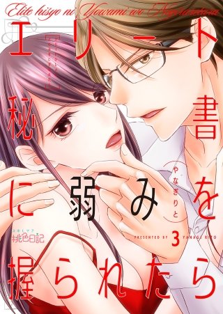 エリート秘書に弱みを握られたら(3)