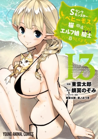 Sランクモンスターの《ベヒーモス》だけど、猫と間違われてエルフ娘の騎士(ペット)として暮らしてます(13)