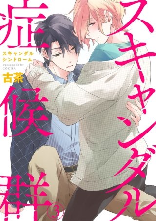 スキャンダル症候群（シンドローム）(3)