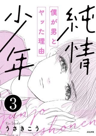 純情少年 僕が男とヤッた理由（分冊版）(3)