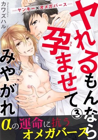 ヤれるもんなら孕ませてみやがれ －ヤンキー×オメガバース－(3)