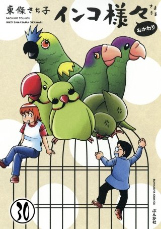 インコ様々(分冊版)(30)