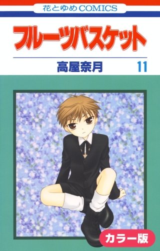［カラー版］フルーツバスケット(11)